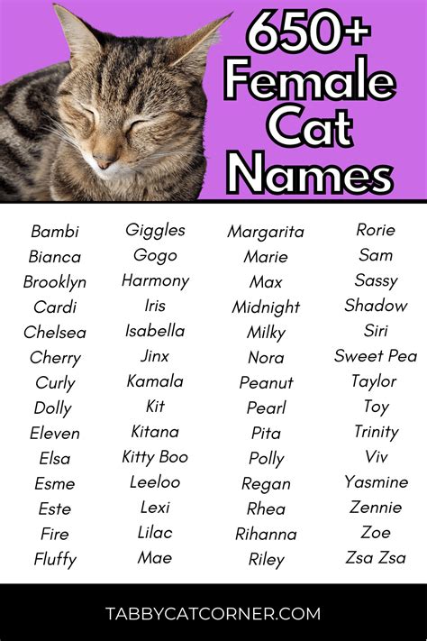 cat names female.